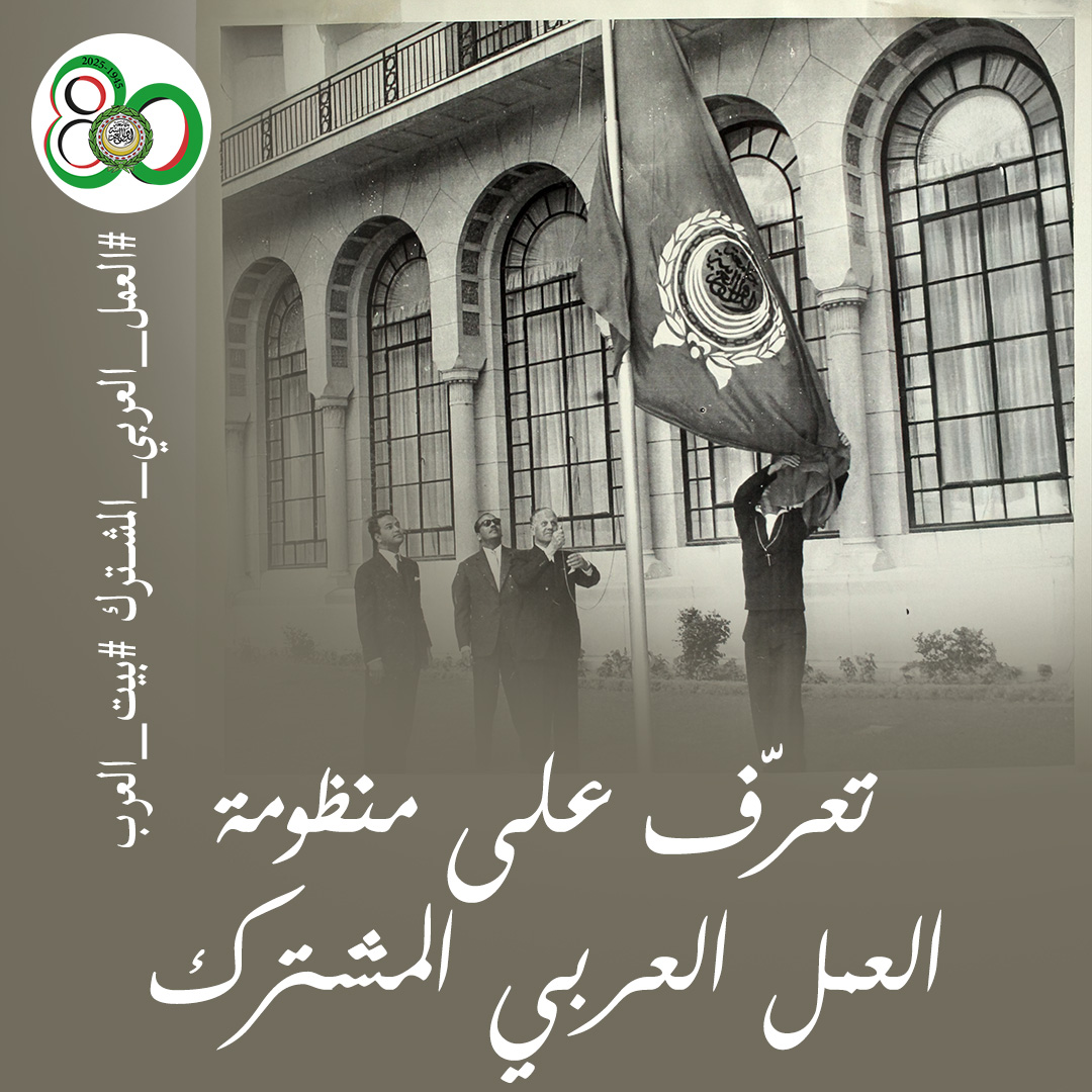 لا يوجد