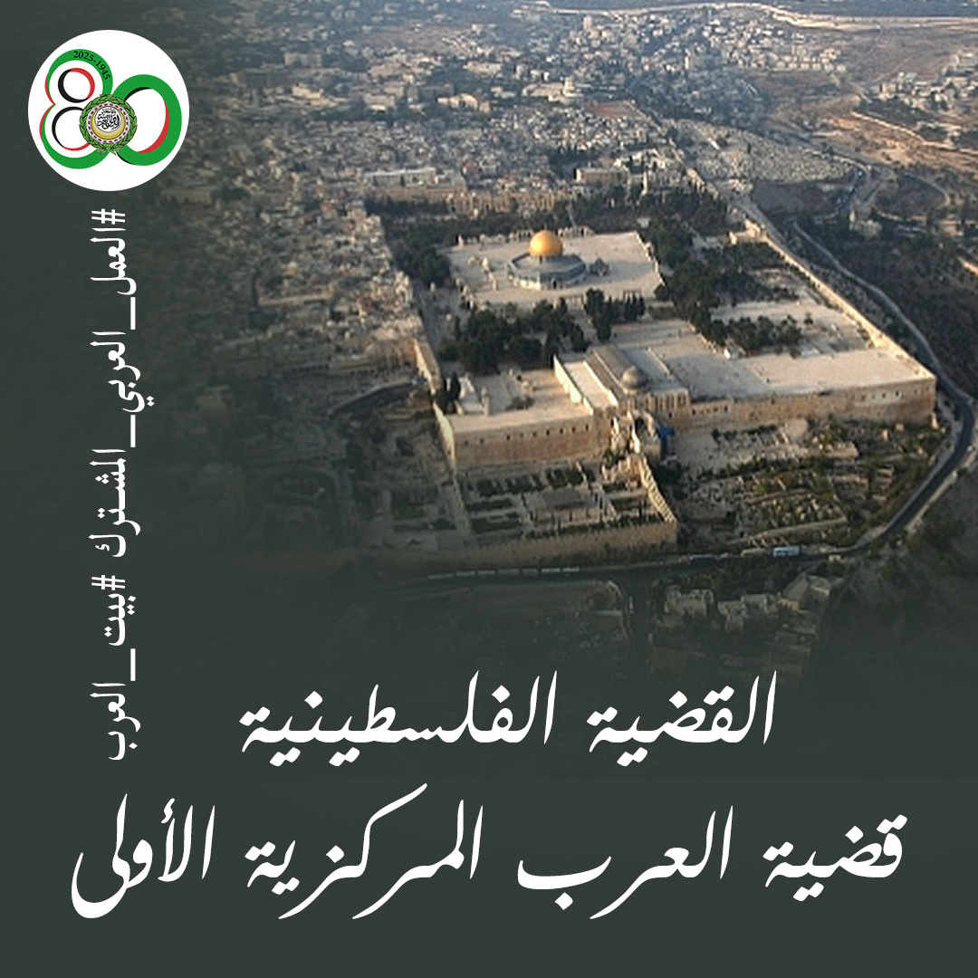 لا يوجد